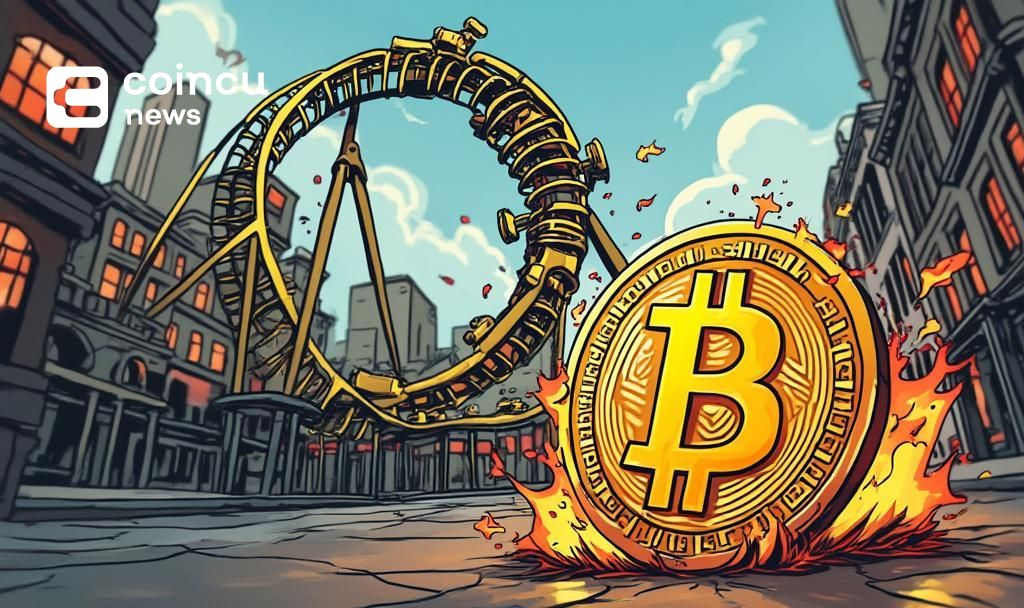 bitcoin volatility cartoon drawing