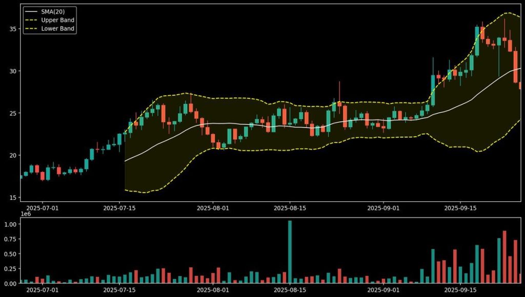 Source: Ripple Bull Winkle/X