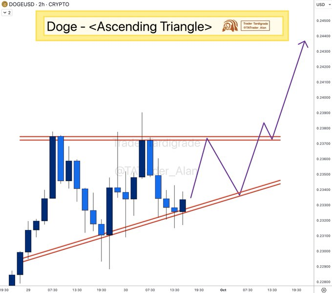 Source: Trader Tardigrade/X