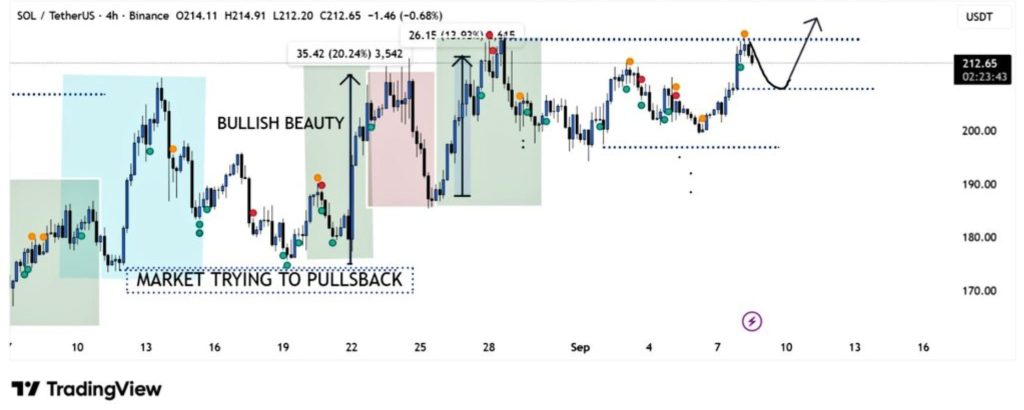 Whales Buy $80.7M in Solana as $SOL Targets $225 2 image 58 2