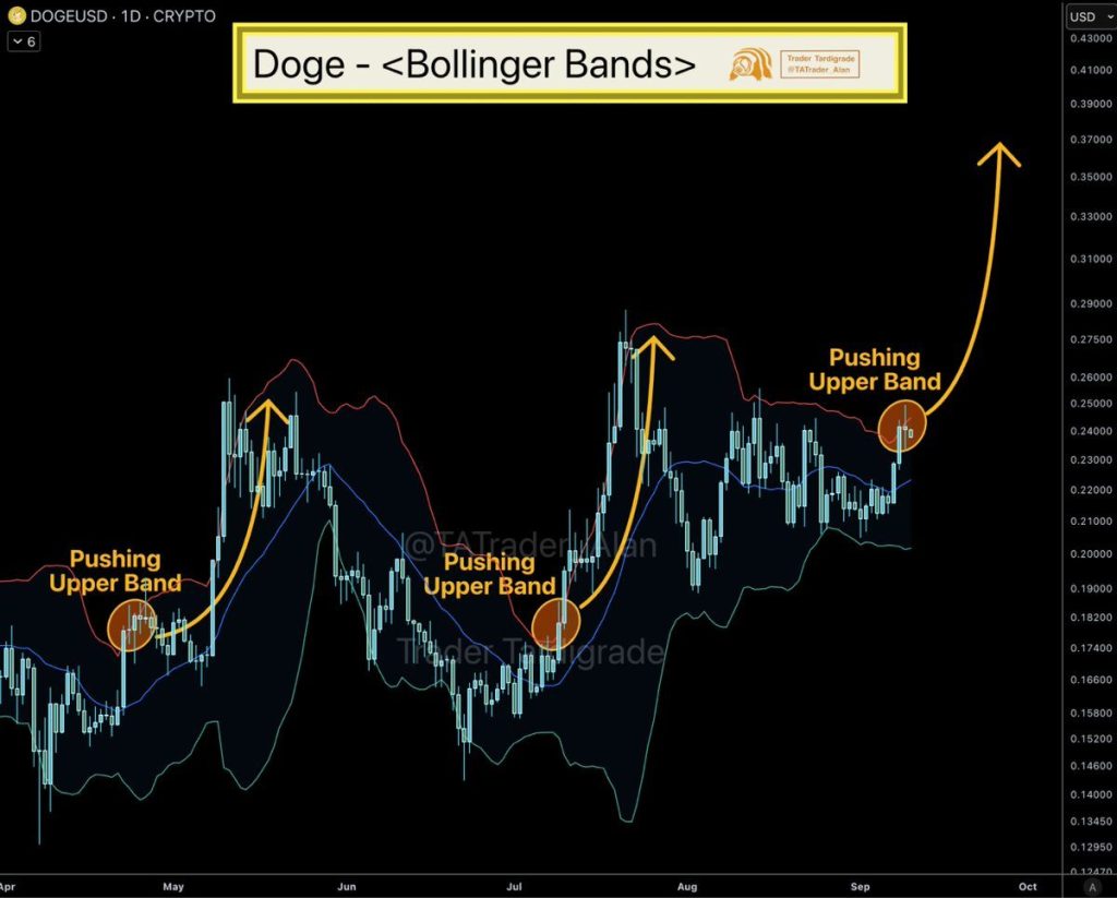Source: Trader Tardigrade/X