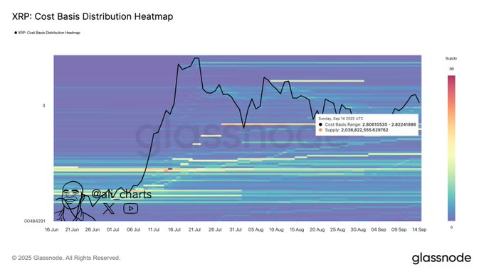 Source: Ali Martinez/X