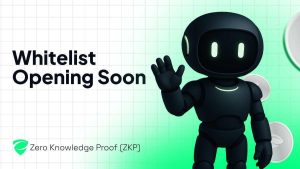 How the Zero Knowledge Proof (ZKP) Whitelist Became the Center of Presale Buzz