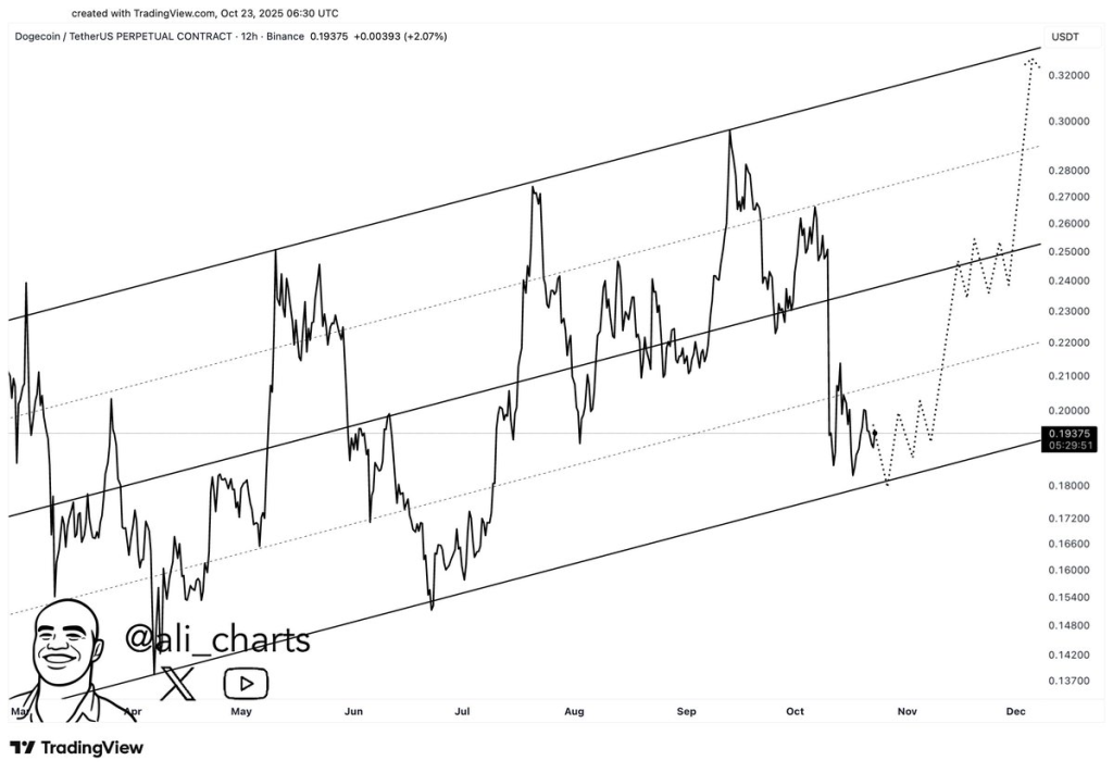 Source: Ali Martinez/X