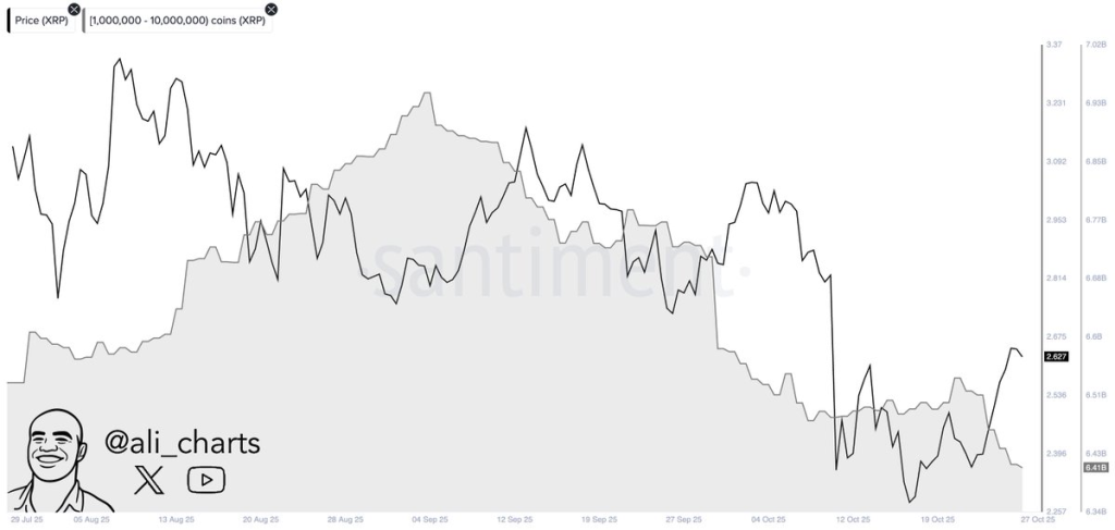 Source: AliMartinez/X