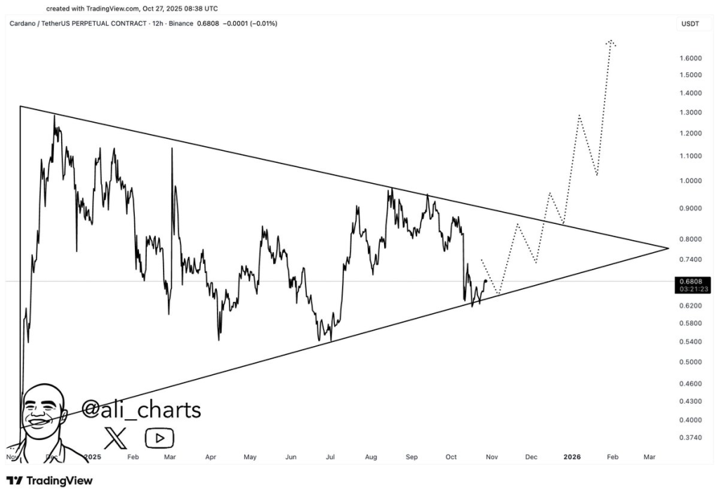 Source: Ali Martinez/X