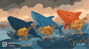 Cardano Whales Grab 348M ADA After Price Dips Below $0.50