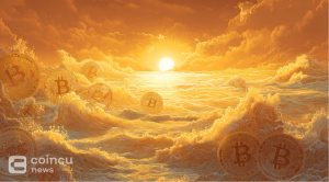 Bitcoin waves under a sunset sky