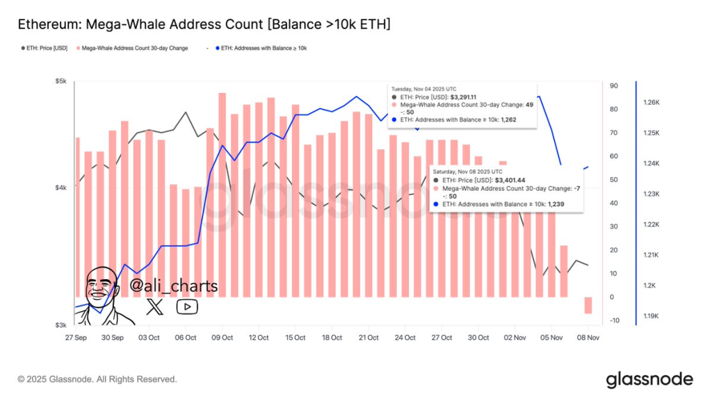 Source: Ali Martinez/X