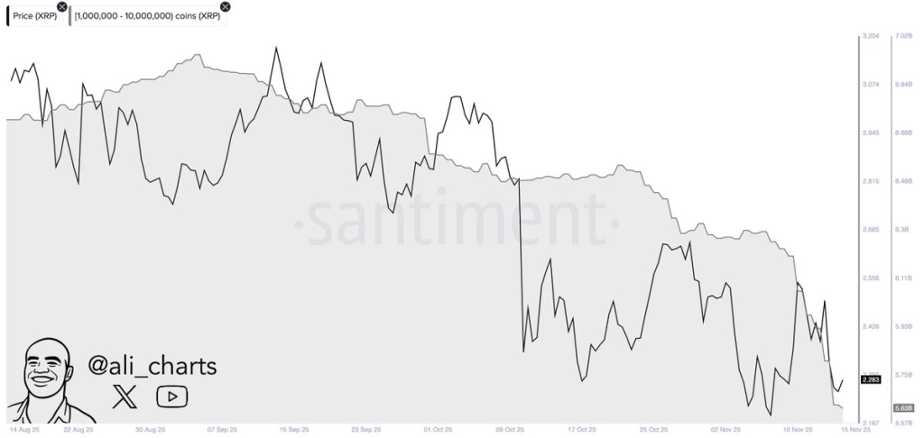 Source: Ali Martinez/X