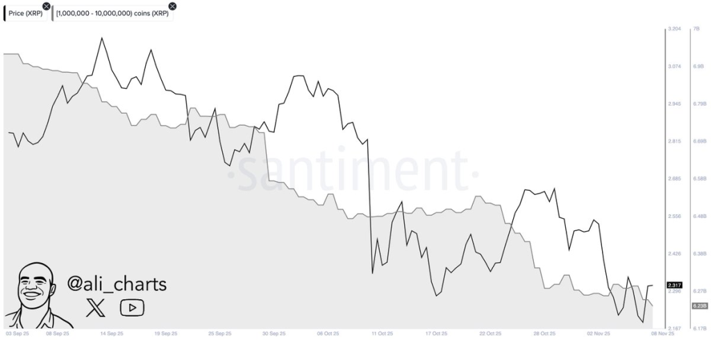 Source: Ali Martinez/X