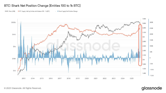 BTC Rebounds at Key Support, Next Stop: Resistance? 2 image 130