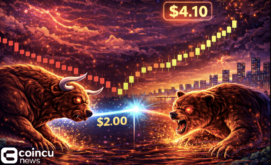 08873b61 b8b9 49fa 86af b893da622078