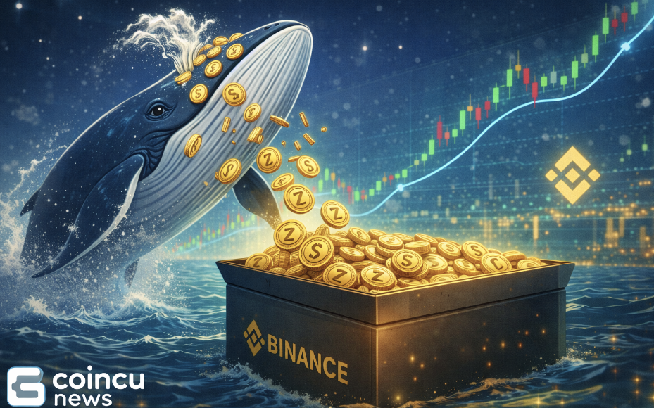 ce3823e8 95f9 4839 9226 08eae8f8210c 1