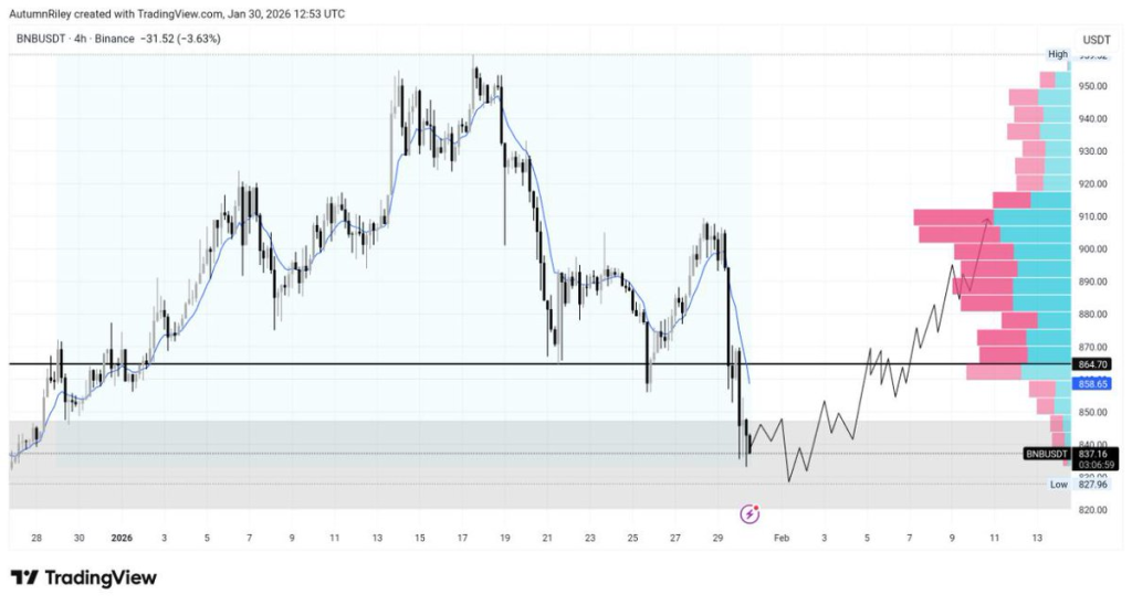 MACD Cross Saves $BNB From Breakdown, Is $870 Next? 2 Source: Autumn Riley/X