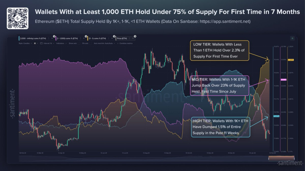 ETH Dumps to $1,945, $296M in Trades Liquidated Overnight 3 image 158