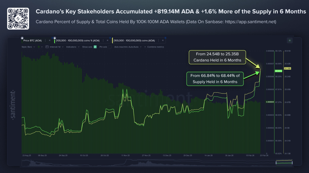 Cardano Whales Accumulate 819M ADA Despite 71% Price Drop 2 image 304