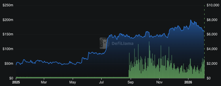 XLM Approaches Key Support Near $0.17 as Bulls Set Sights on Next Surge: Where Next? 3 image 75