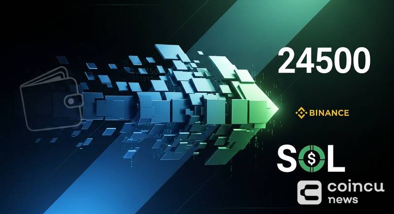 24,500 SOL Moved From Anonymous Wallet to Binance Via Relay Addresses
