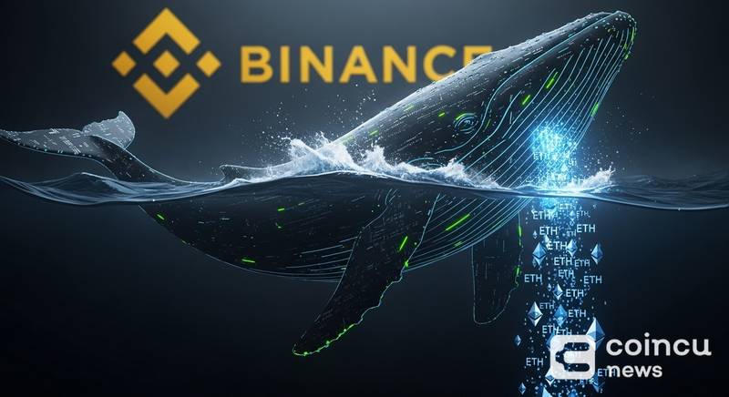 Whale Withdraws 2,973 ETH From Binance to New Address in Single Transfer