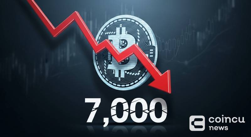 Data: BTC Falls Below $77,000 Amid Market Pressure
