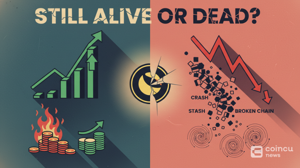 Terra Classic (LUNC) Explained: Burns, Staking, Governance, and Risks 1 Terra Classic (LUNC) Explained: Burns, Staking, Governance, and Risks