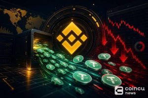 Binance Sees $46.15M Net USDT Outflows in One Hour