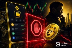 Binance Wallet Appears to Block Meme Coin Sharing Luo Yonghao's Name