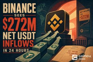 Binance Sees $272M Net USDT Inflows in 24 Hours