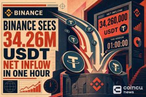Binance Sees 34.26M USDT Net Inflow in One Hour
